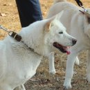 광주광역시 우치동물원 동물병원 이미지