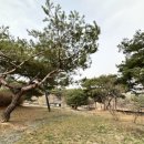 사색의길(종학당) 이미지