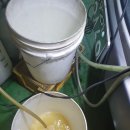 유성카맨샵 이미지