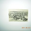 원산전자 이미지