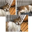 연제종합동물병원 이미지