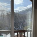 힐링우드 이미지