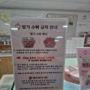 소야 | 속초 이색 체험 실내 데이트 연인과 함께 즐기는 속초소야 으뜸딸기 체험후기