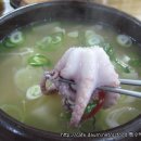 낙지한마리수제비 이미지