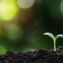 평범한날 행복한맛 이미지