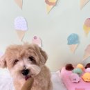 아이멍그라운드 이미지