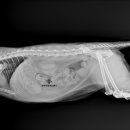 미사동물병원 이미지