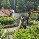 횡성군 산림조합 이미지