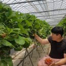 화선농장 이미지