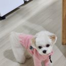 2023.07.25 카카오게임즈 신작 [아레스] 튜토리얼? 후기!