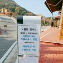 챔피언마트 | 작천정달빛야영장 왁자지껄존 이용후기