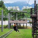 불암산더불어숲 이미지