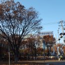 다우약국 이미지