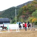 동서울 승마장 이미지