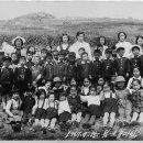 대창초등학교 이미지