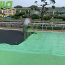 인라인장 이미지