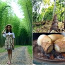 수령농장 이미지