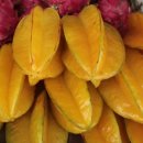 (주)스타후르츠 이미지