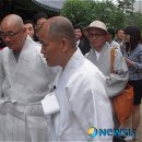 도올 이미지