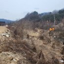 백운면 2531 이미지