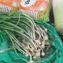 대평리경로당 이미지