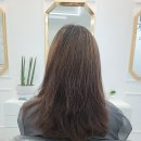 머리에반하다 이미지