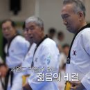 노화태권도 이미지