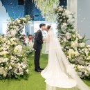 다르미앙 이미지