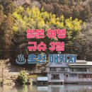 돈키호테-무식한 소 | [일본] 하나투어 규슈 3일 후쿠오카 유후인 온천 패키지 부모님 해외여행 강력 추천