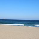 오시기식당 이미지