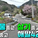 가야면사무소 이미지