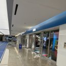 [호카 구매후기] 호카 스타필드 코엑스몰 여성 호카 챌린저7 구매 후기