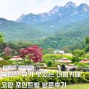 고양 포인트빌 북한산 뷰 대형 카페 방문후기