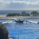 사상체질심리철학 | 사는 게 지쳐도 세상은 내 거야