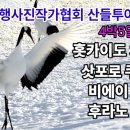 홋카이도 北海道 (삿포로 오토와바시 단학정 비에이 후라노) 출사 해설사 - 4박5일 일출과 일몰에 취하다 이미지