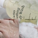 야다 선인장 수딩 바디워시 후기 | 약산성 저자극으로 민감피부도 OK? 실사용 솔직리뷰