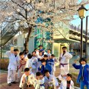 용인대 유사사 유도관 이미지