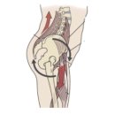 유성PT 용쓰짐 헬스장 이미지