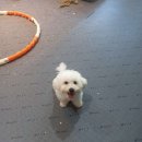 착한개조아 이미지