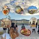 풍요로(동) | [동유럽 5일차 여행기] 오스트리아 빈 여행 브이로그...쇤브룬 궁전ㆍ성슈테판 대성당 하루 코스 후기