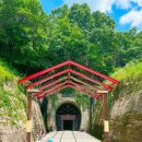 고모산성(오미자 테마터널) | 경북 문경 가볼만한곳 오미자테마터널 고모산성 여름 여행지