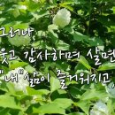 물맑은집 이미지