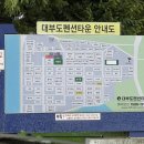 데이바이디 이미지