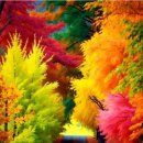 9월 26일 금요일 간추린 뉴스와 날씨 이미지