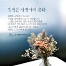 귀인