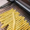 몽몽야옹 이미지