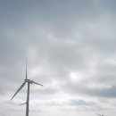 삼양목장 이미지