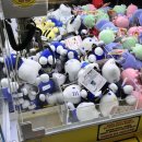 와와사격장 이미지