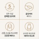 반디시스템 이미지