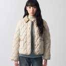 포레스트813 이미지